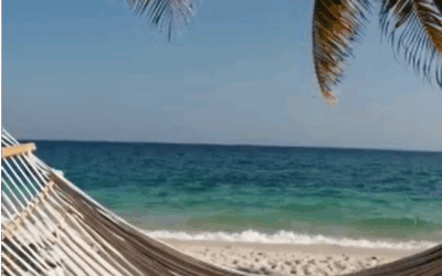 Summer vacation ROPESYS 2025
