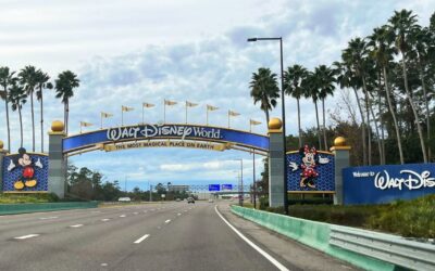 ROPESYS Seilprüfung Disney Skyliner